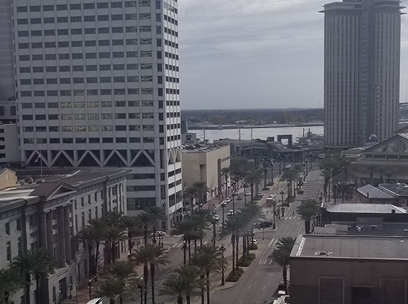 A view of New Orleans from the epilepsy meeting hotel