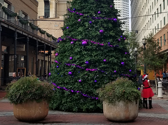 Christmas trees around the city