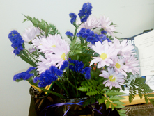 Purple Flowers for Epilepsy