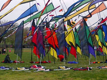 The kite festival gave walkers something nice to look at