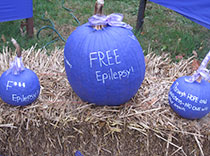Purple Pumpkins for epilepsy awareness